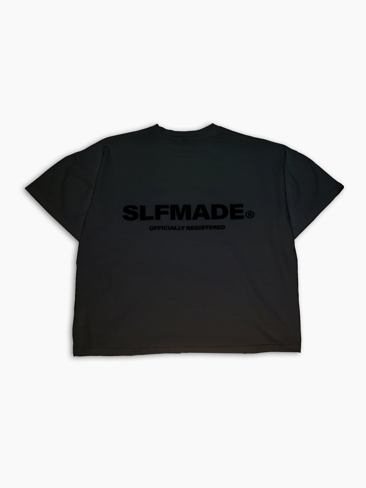 HEAVYWEIGHT 'OFFICIALLY REGISTERED' OVERSIZED T-SHIRT